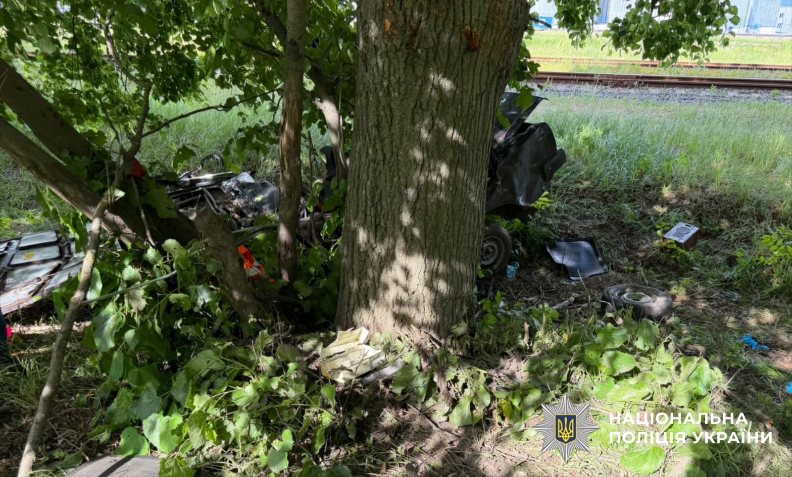 На Київщині п’яний водій злетів у кювет: загинули двоє дітей