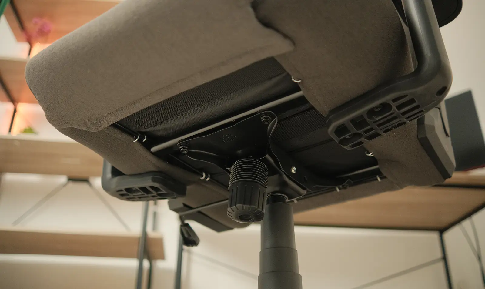 Cougar EXPLORE ROYAL GRAY F