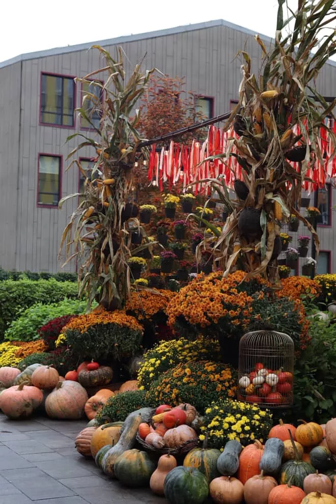 Where to Find Autumn in Kyiv: 7 Locations for Photos and Vibes