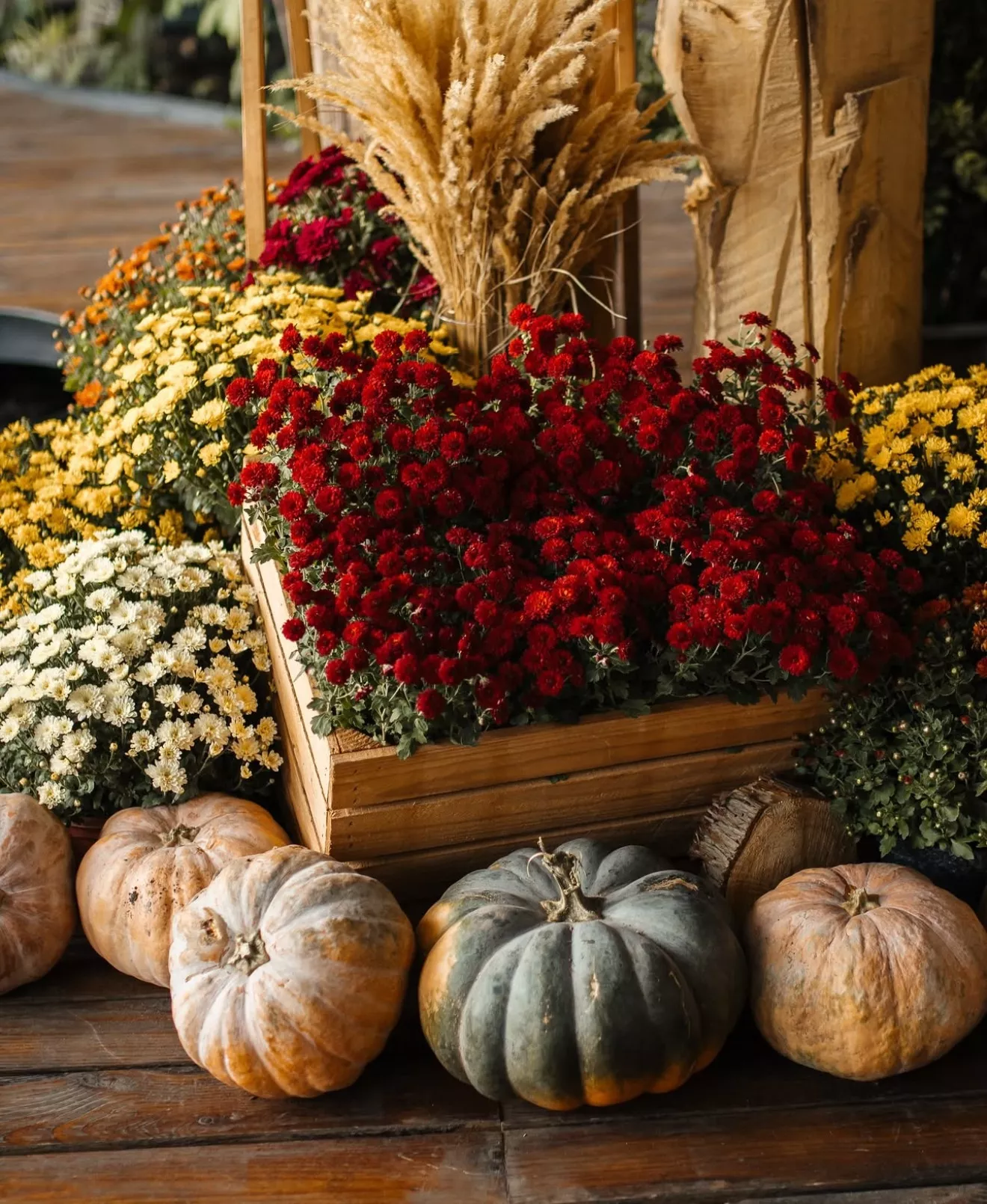 Where to Find Autumn in Kyiv: 7 Locations for Photos and Vibes