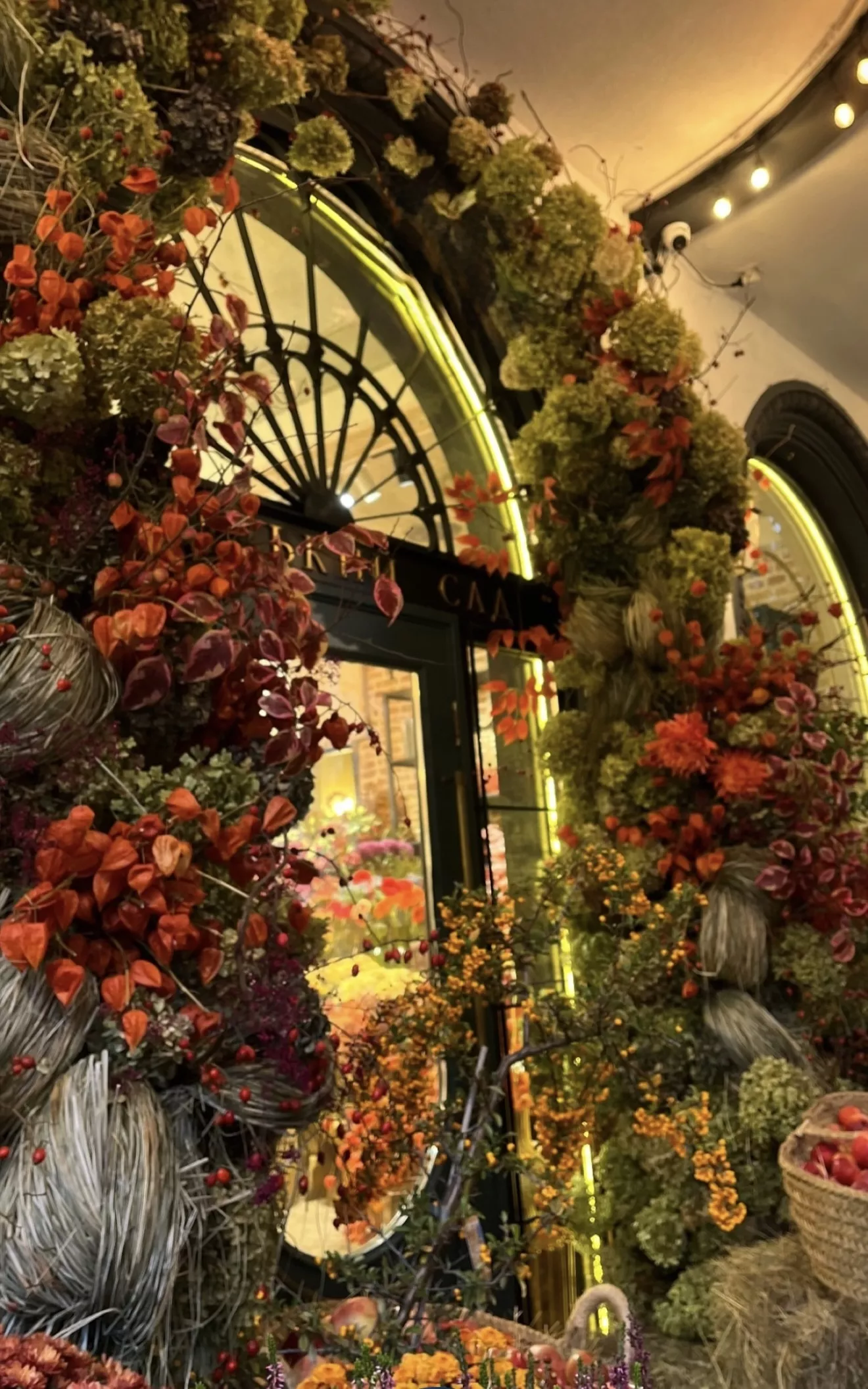 Where to Find Autumn in Kyiv: 7 Locations for Photos and Vibes