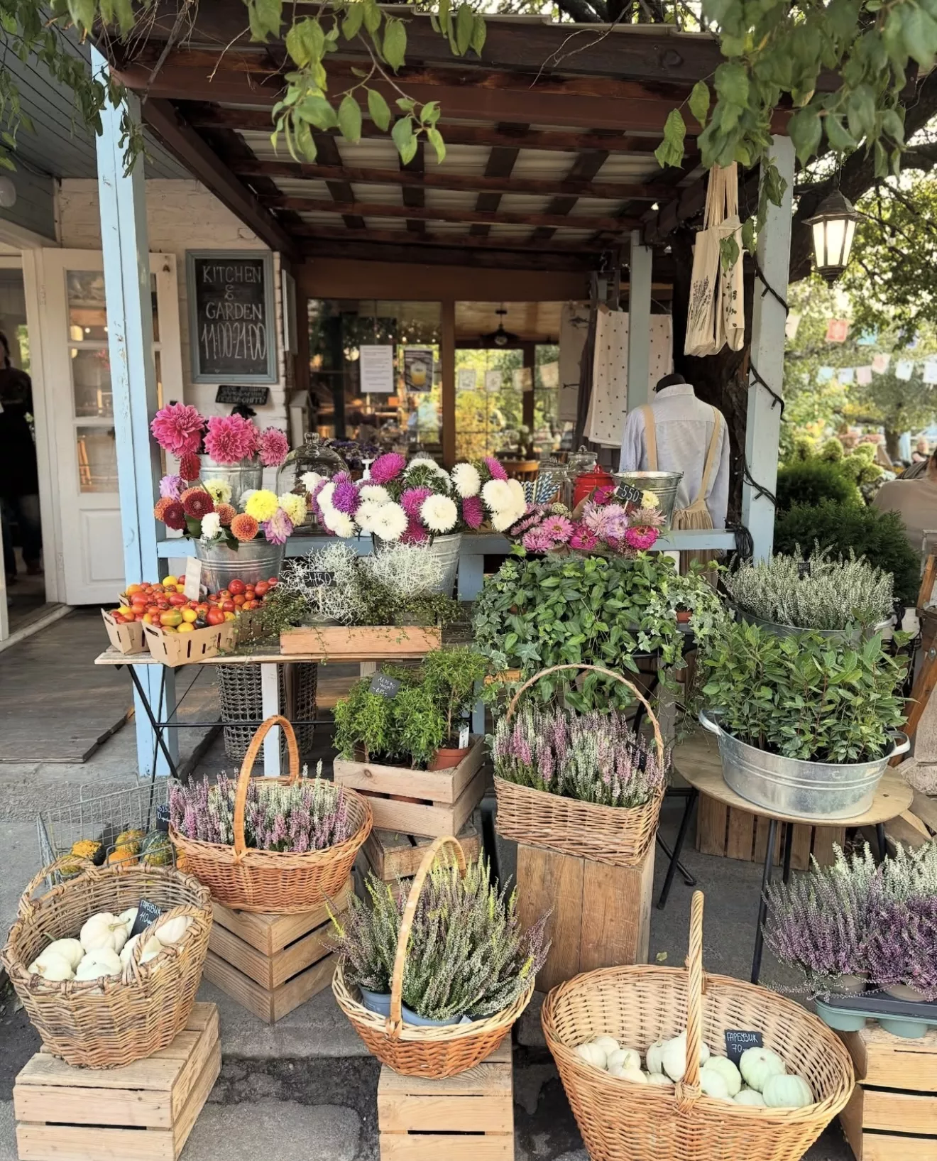 Where to Find Autumn in Kyiv: 7 Locations for Photos and Vibes