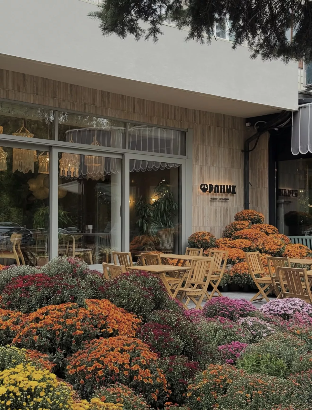 Where to Find Autumn in Kyiv: 7 Locations for Photos and Vibes