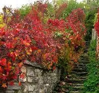 Top 14 Lesser-Known Places to Go and See in Kamianets-Podilskyi