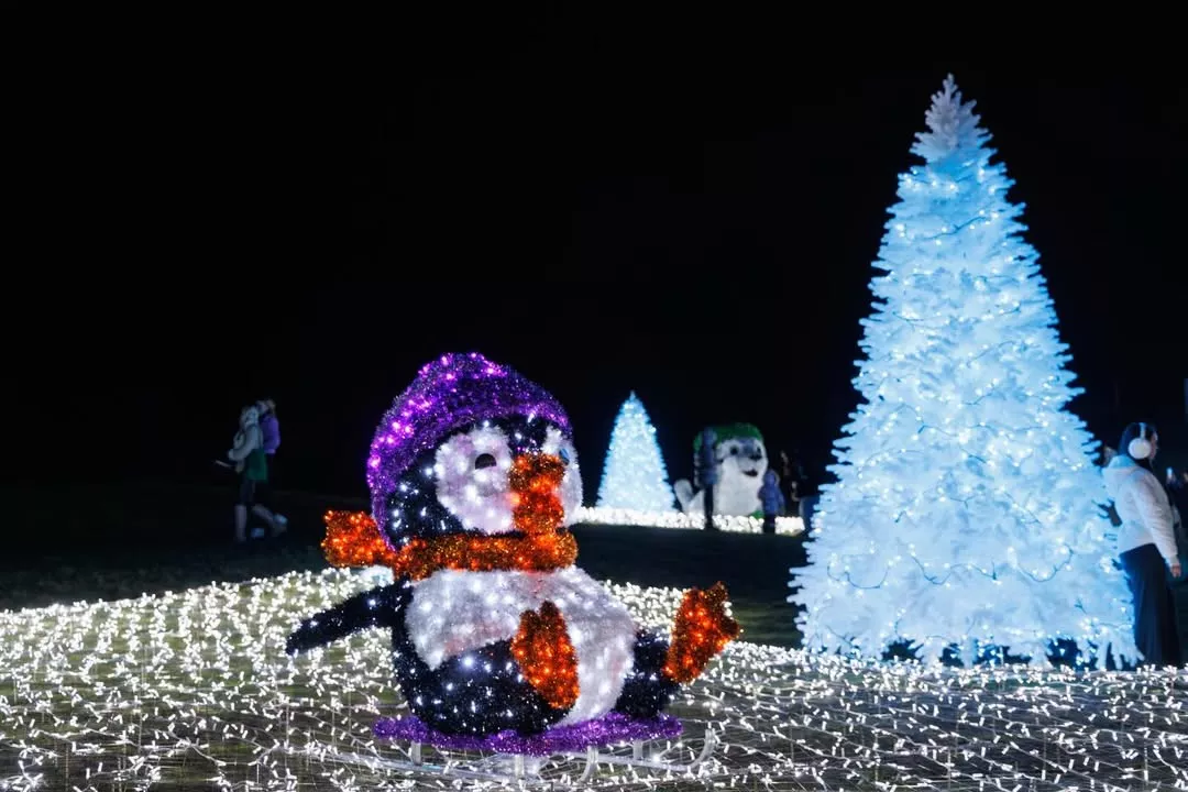 Top 14 Best New Year Locations in Kyiv
