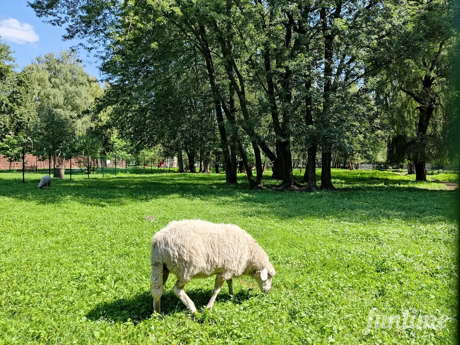 Топ -16  маловідомих місць в Тернополі, що подивитись, куди піти, де зупинитись
