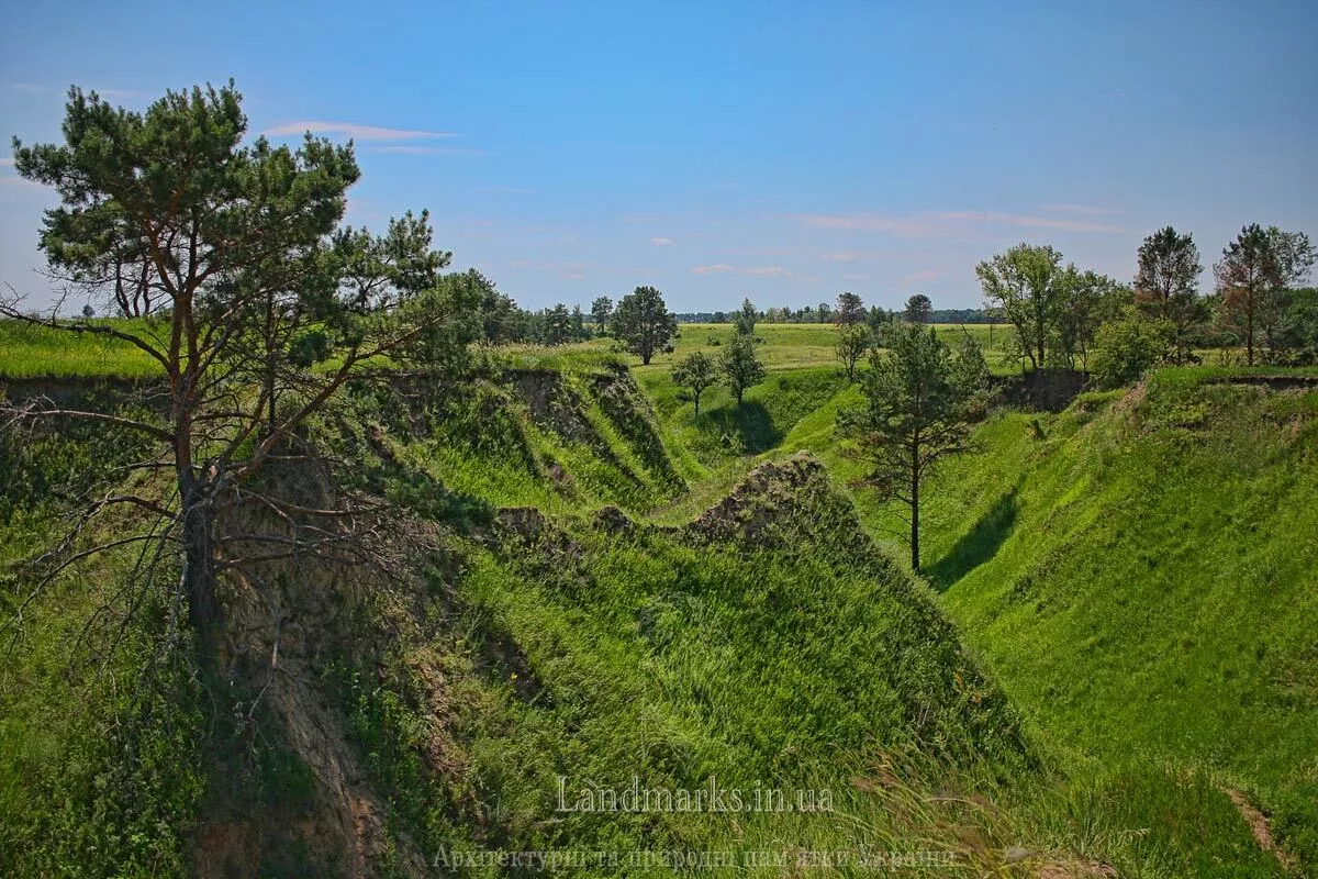 Васильківські Карпати, фото червень 2020 р.
