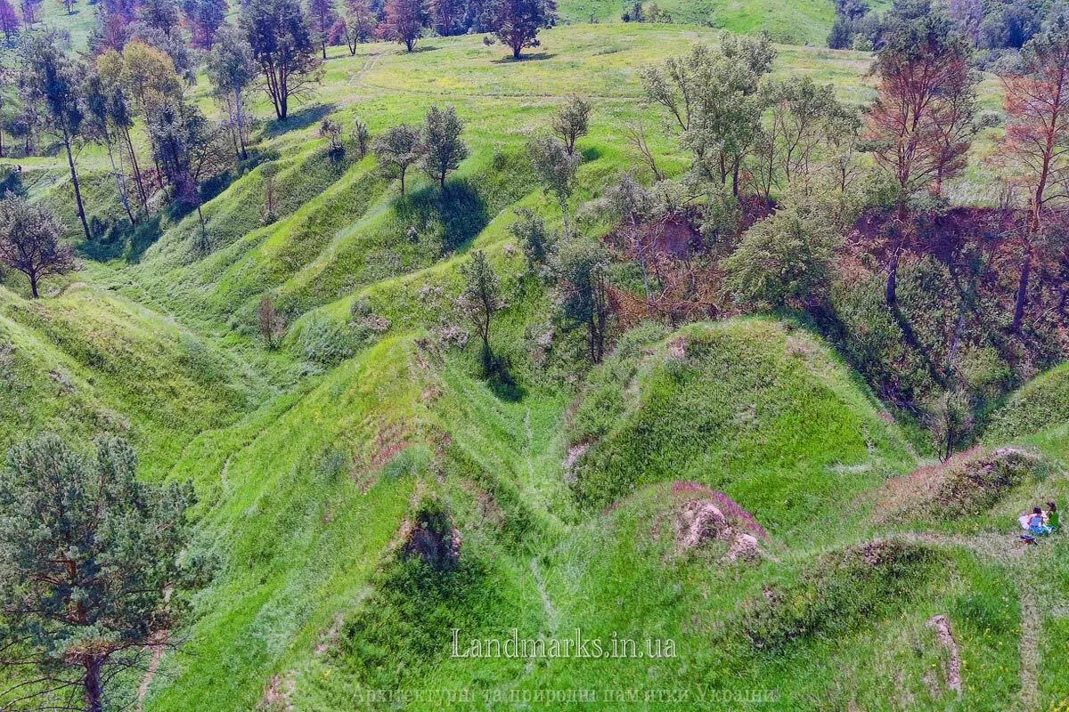 Васильківські Карпати фотографії з дрону