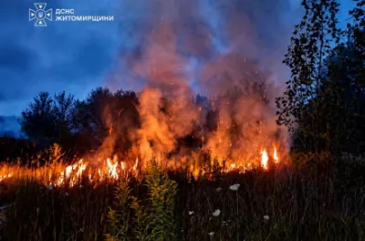 На Житомирщині 74-річна жінка отримала опіки, коли сама намагалася загасити стерню