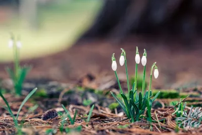 20 березня вшановують мученицю Фотину: традиції та обряди свята
