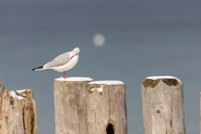Андріїв день: традиції, заборони та прикмети 30 листопада в Україні