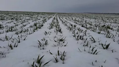 Арктичний холод накриє Україну: мороз до -23° та сніг до 20 см