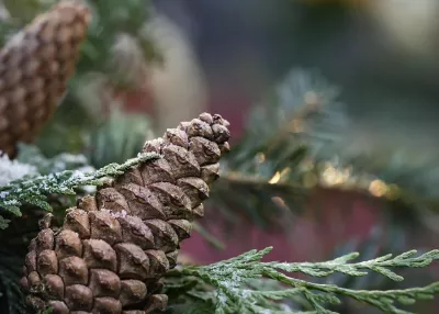 Гороскоп на сьогодні: Важливі підказки для знаків Зодіаку