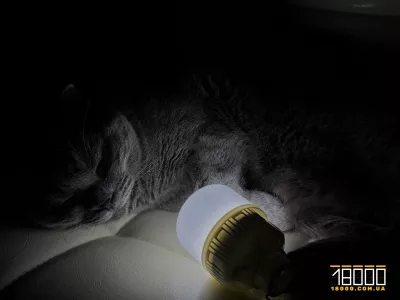 Графік електровідключень на Черкащині: де та коли 30 грудня зникне світло