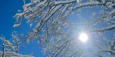 Мороз відійде: синоптики прогнозують потепління в Україні цього тижня