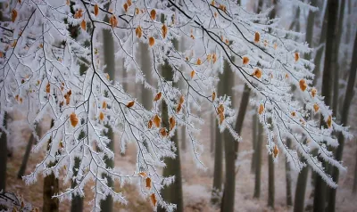 Морози до -11°C: у Миколаївській області прогнозують різке похолодання з 25 грудня