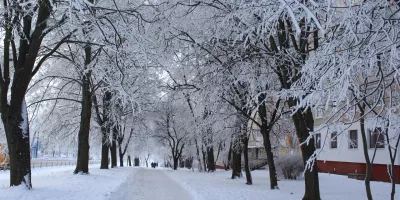 Морозне Рождество в Києві: арктичний холод принесе температуру до -10°C