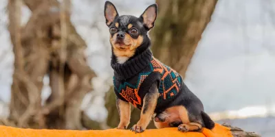 **Нестабільна погода у Києві: дожді і грози на вихідних, потім потепління**