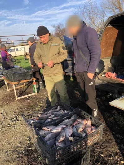 Незаконна торгівля рибою: рейд інспекторів у Баштанці викрив протизаконну діяльність