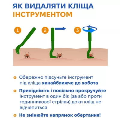 Переможці весни: експерти застерігають про небезпеку кліщів у Бердичеві