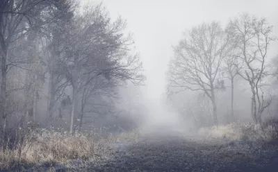 Погода в Дніпрі: туман та зниження температури до -3°C цього тижня