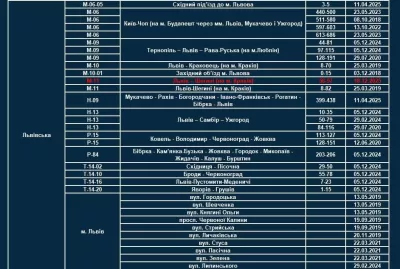 Поліція Львівщини запроваджує TruCAM на аварійних ділянках доріг