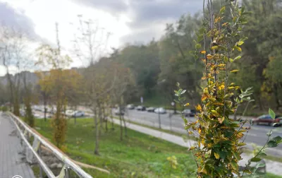 Прогноз погоди на сьогодні у Львові: до 12° тепла та невеликий дощ