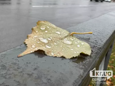 Суттєве похолодання й дощі: погода в Кривому Розі на найближчі дні