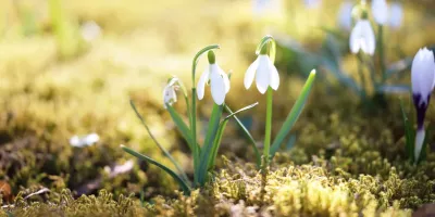 Тепла погода в Києві: що очікувати сьогодні та завтра