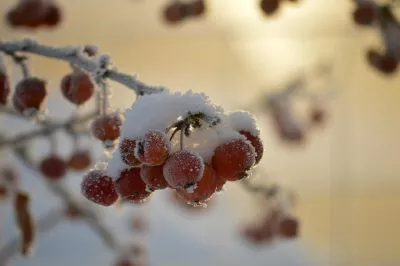 Три святителі України: духовна місія Василя Великого, Григорія Богослова та Іоанна Златоуста