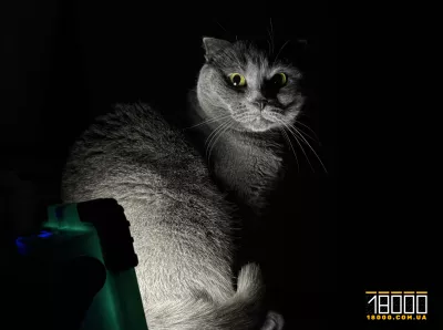 Заголовок: Українцям слід готуватися до вимкнень світла 24 березня: деталі від «Укренерго»