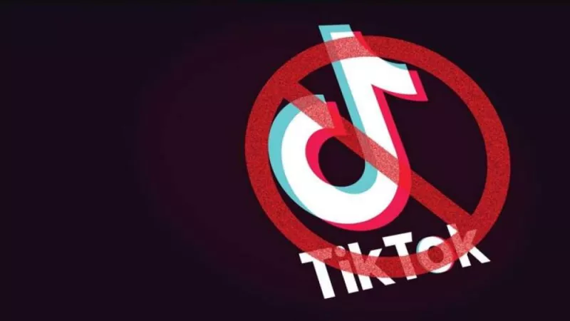 В Україні закликають повністю заборонити TikTok: на сайті Кабміну зареєстрували петицію