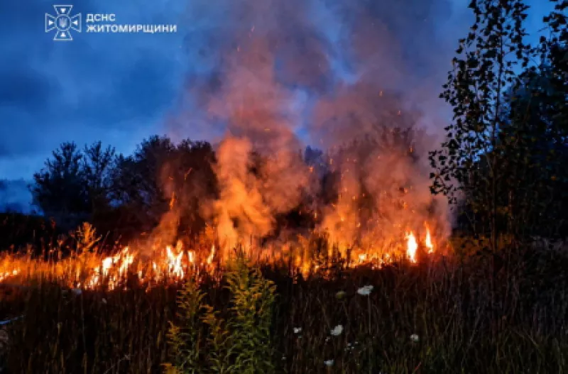 На Житомирщині 74-річна жінка отримала опіки, коли сама намагалася загасити стерню