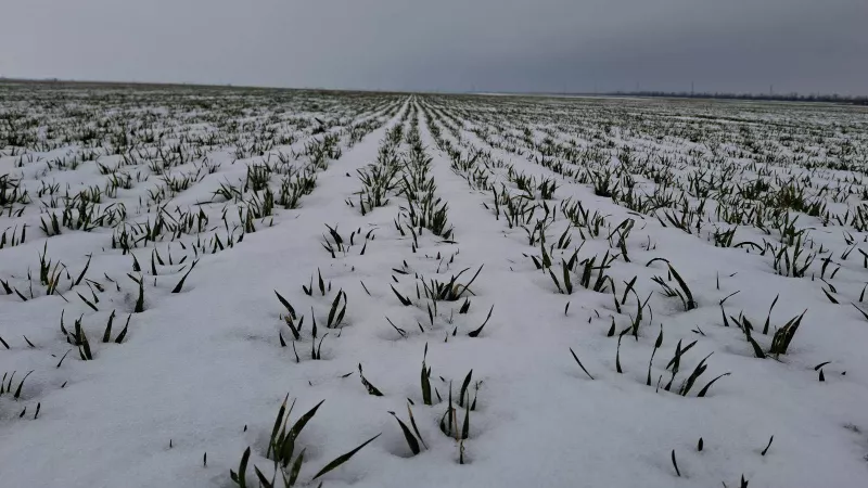 Арктичний холод накриє Україну: мороз до -23° та сніг до 20 см