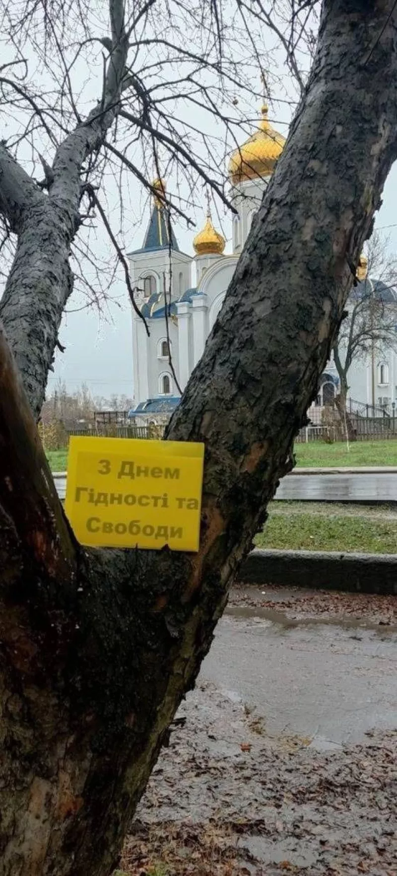 День гідності та свободи: активісти "Жовтої стрічки" протестують в окупованих містах України
