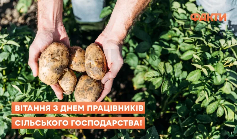 День працівників сільського господарства: святкування в «Подільському державному університеті» та НУБіП України