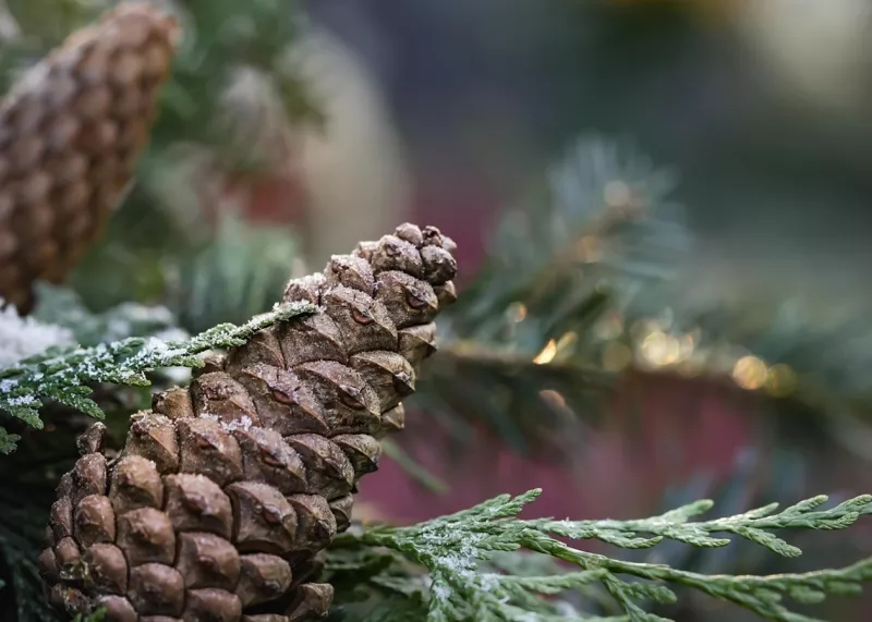 Гороскоп на сьогодні: Важливі підказки для знаків Зодіаку