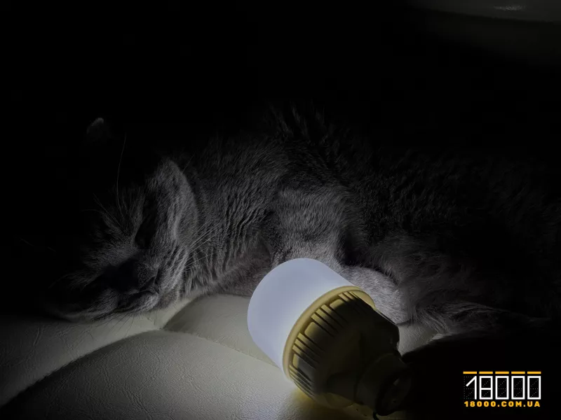 Графік електровідключень на Черкащині: де та коли 30 грудня зникне світло