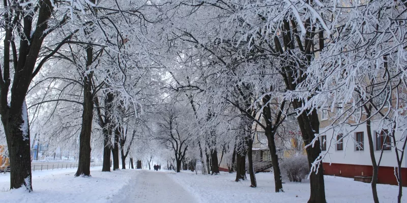 Морозне Рождество в Києві: арктичний холод принесе температуру до -10°C