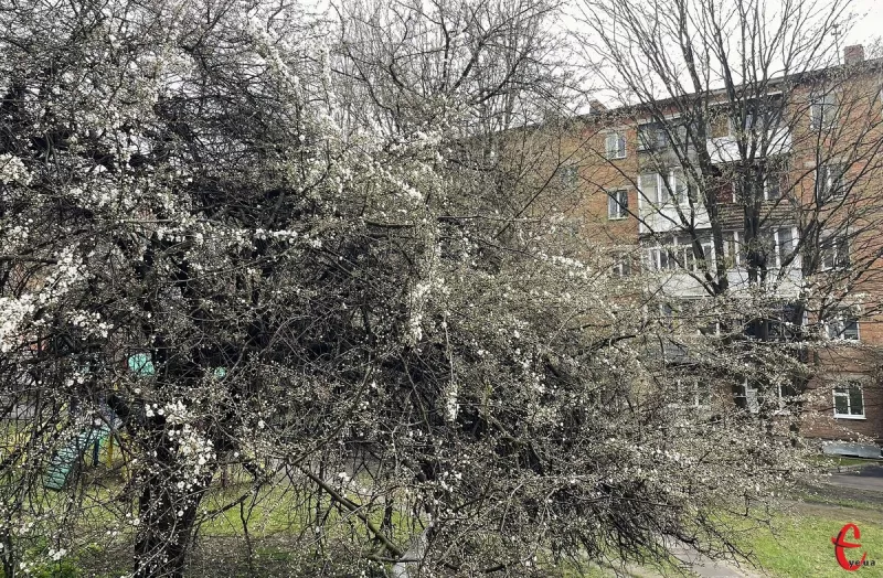 Нестабільна погода на Хмельниччині: похолодання та дощі очікують до вихідних
