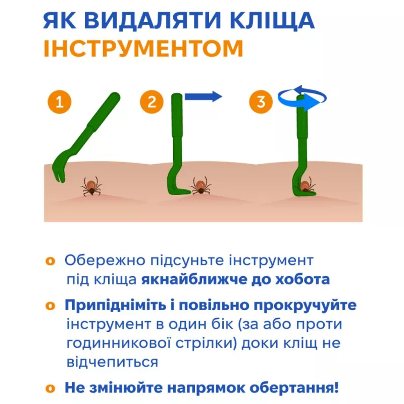 Переможці весни: експерти застерігають про небезпеку кліщів у Бердичеві