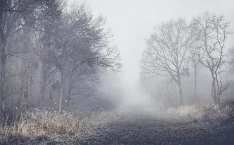 Погода в Дніпрі: туман та зниження температури до -3°C цього тижня