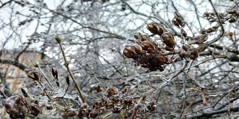 Погода в Києві: мокрий сніг та гололедиця очікуються на вихідних