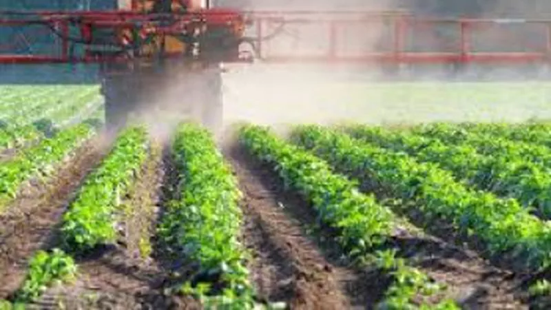 Польща нарощує експорт мінеральних добрив в Україну через дефіцит газу