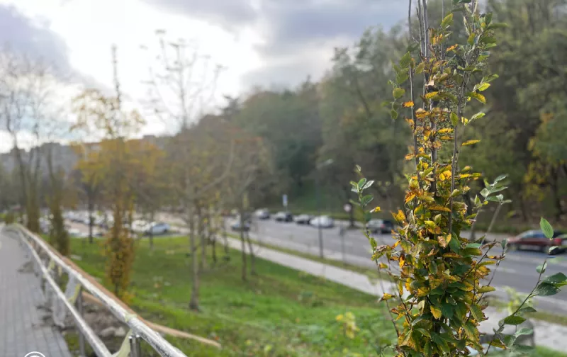 Прогноз погоди на сьогодні у Львові: до 12° тепла та невеликий дощ