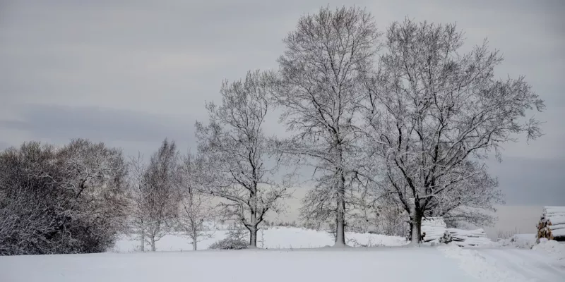 Різкі морози до -28°C накриють Україну цими вихідними