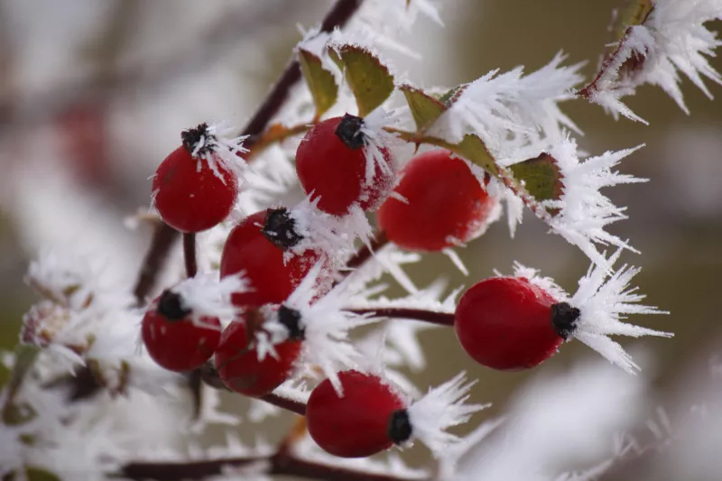 Штормове попередження в Одесі: мокрий сніг, туман та вітер до 18 м/с загрожують місту
