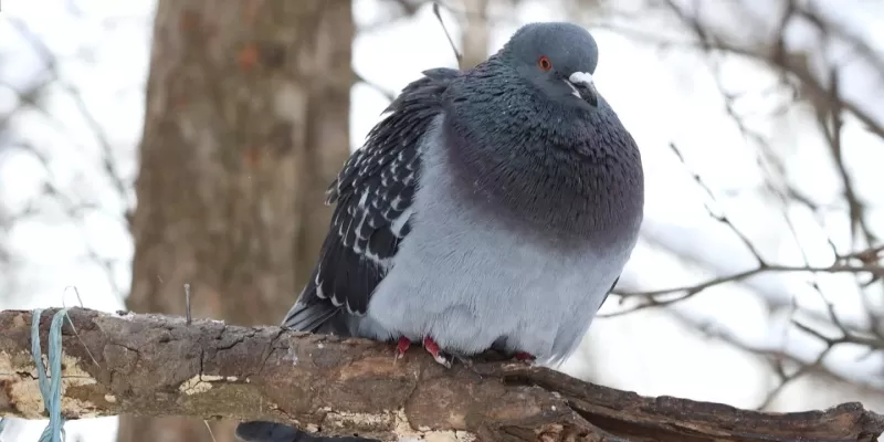 Синоптики прогнозують дощі на вихідних, в Україні залишиться тепло