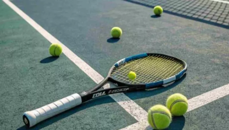 Світоліна розгромила топ-3 WTA і вийшла до півфіналу Australian Open