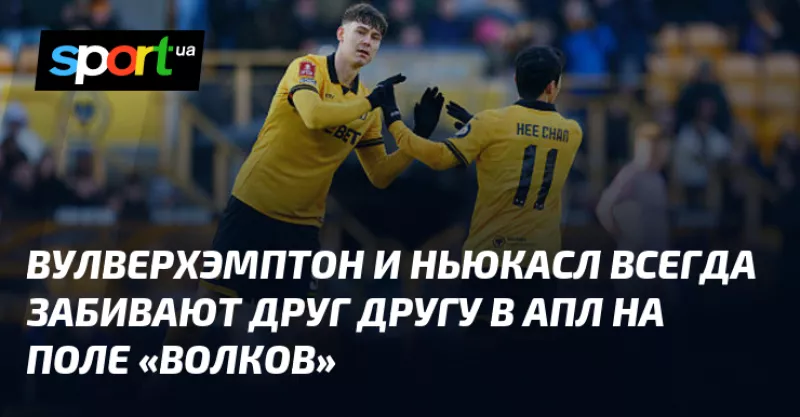 Вулверхемптон розгромив Ньюкасл з мінімальним рахунком на «Молінью»